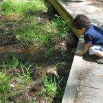 Autry Mill Nature Preserve & Heritage Center